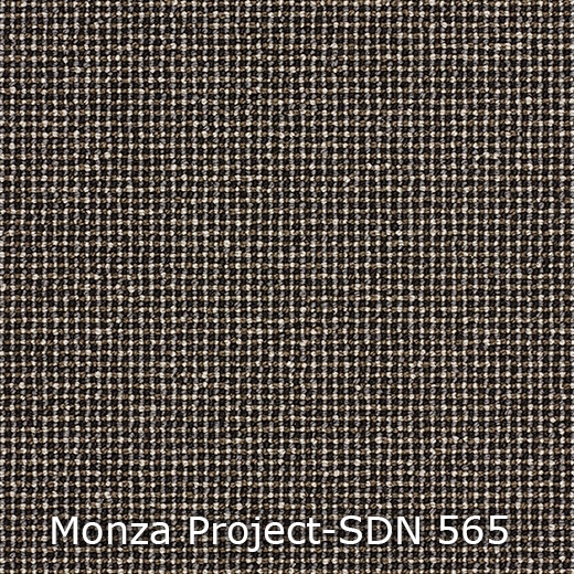Monza Project-565